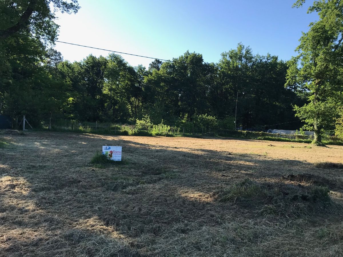 Découvrez ce terrain constructible de 1 200 m² situé à Prigonrieux, dans un environnement calme et verdoyant.