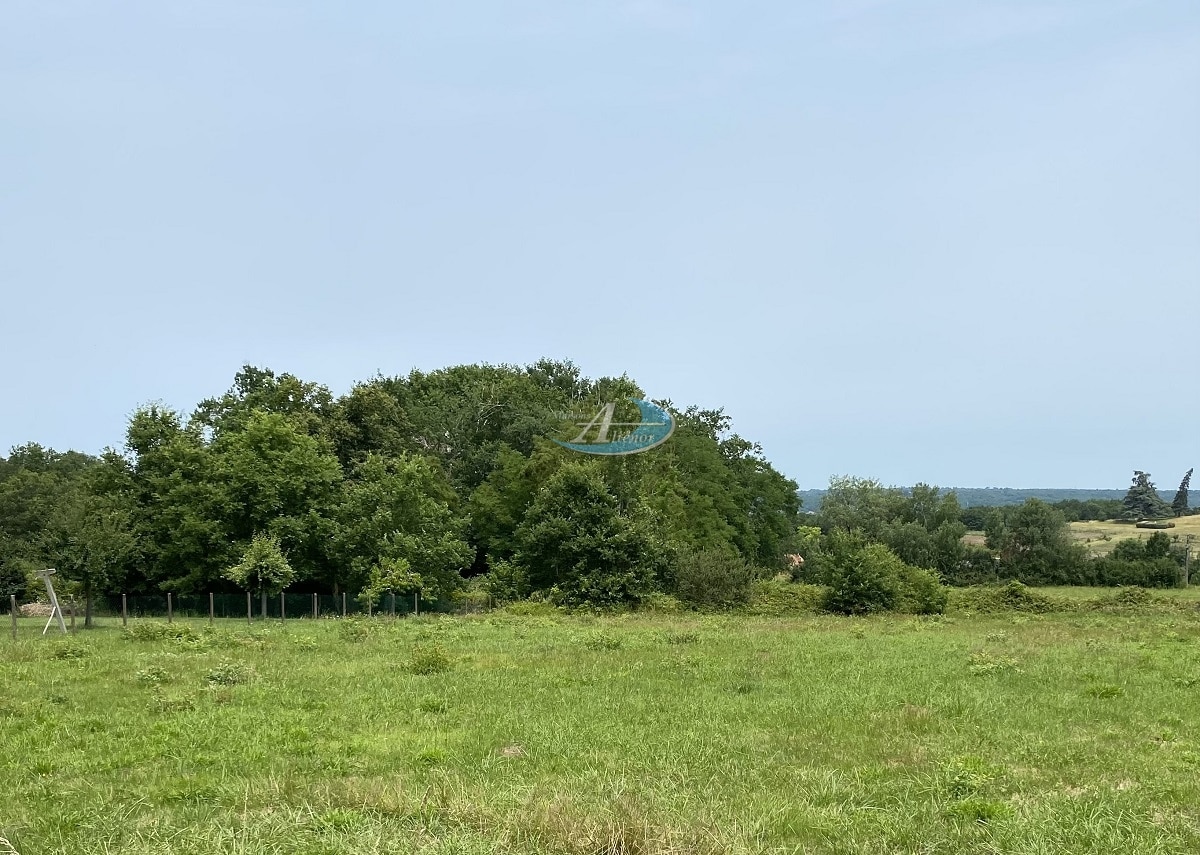 Terrain de 884 m² à vendre à Cours de Pile, constructible et raccordable au tout à l’égout.