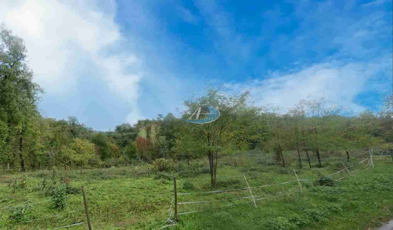 Terrain à vendre situé à Carsac-Aillac, d'une superficie de 1800 m², dans un environnement calme et arboré, entre Sarlat et Gourdon.