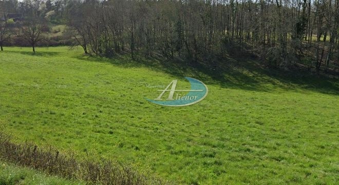 Photo d'un charmant terrain plat d'environ 1 300 m² situé à Montignac, proche des commerces et à quelques minutes de Sarlat. Exposé plein sud, il offre une orientation idéale pour une construction respectant les normes RE2020.